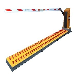 INT-MAG2-PARKINGPRO